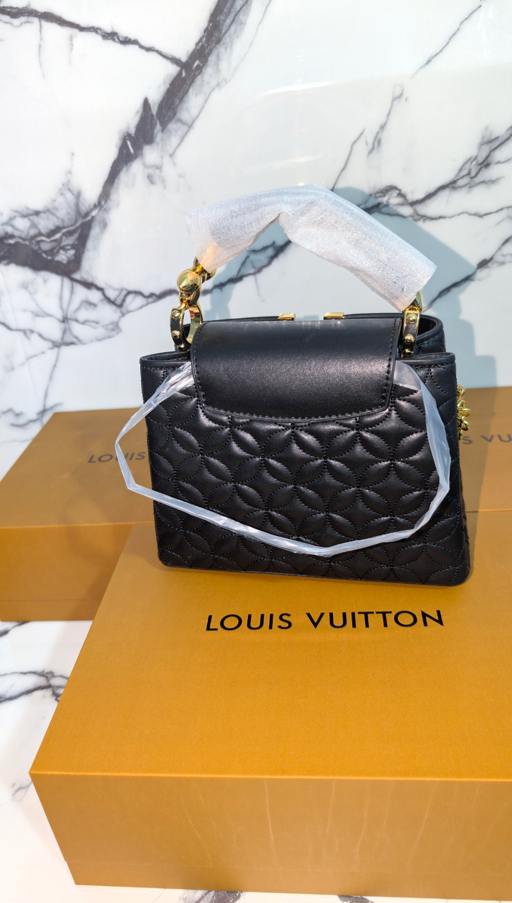 Louis Vuitton Capucine