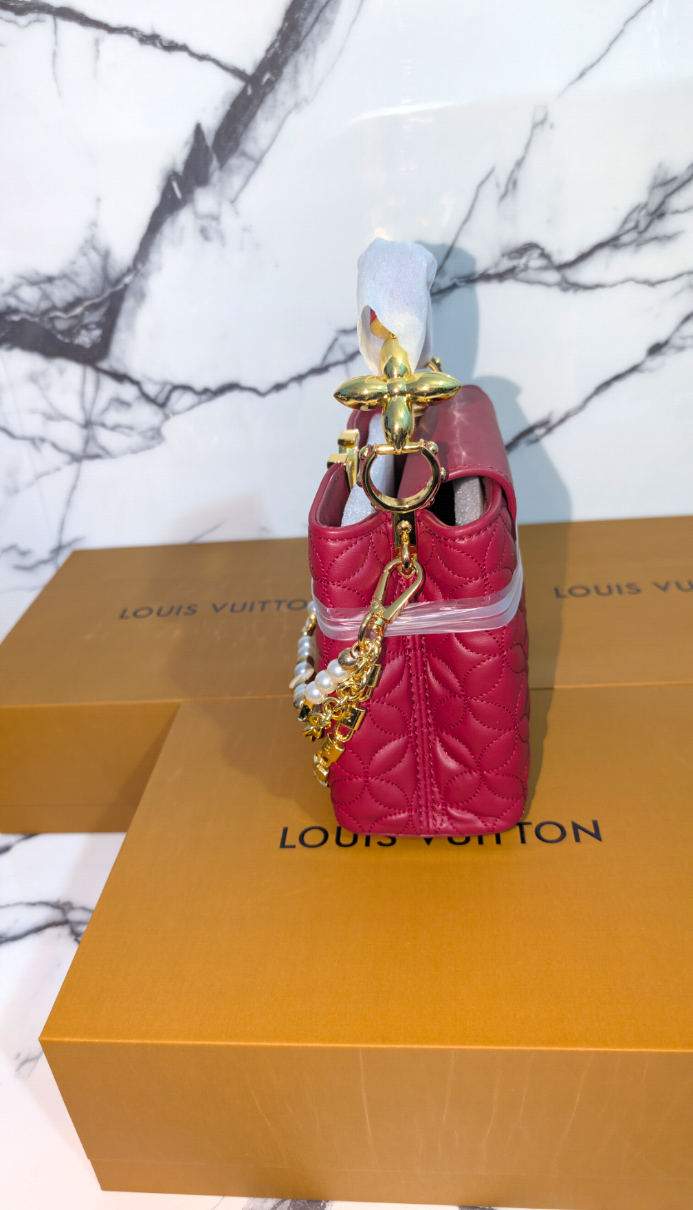 Louis Vuitton Capucine