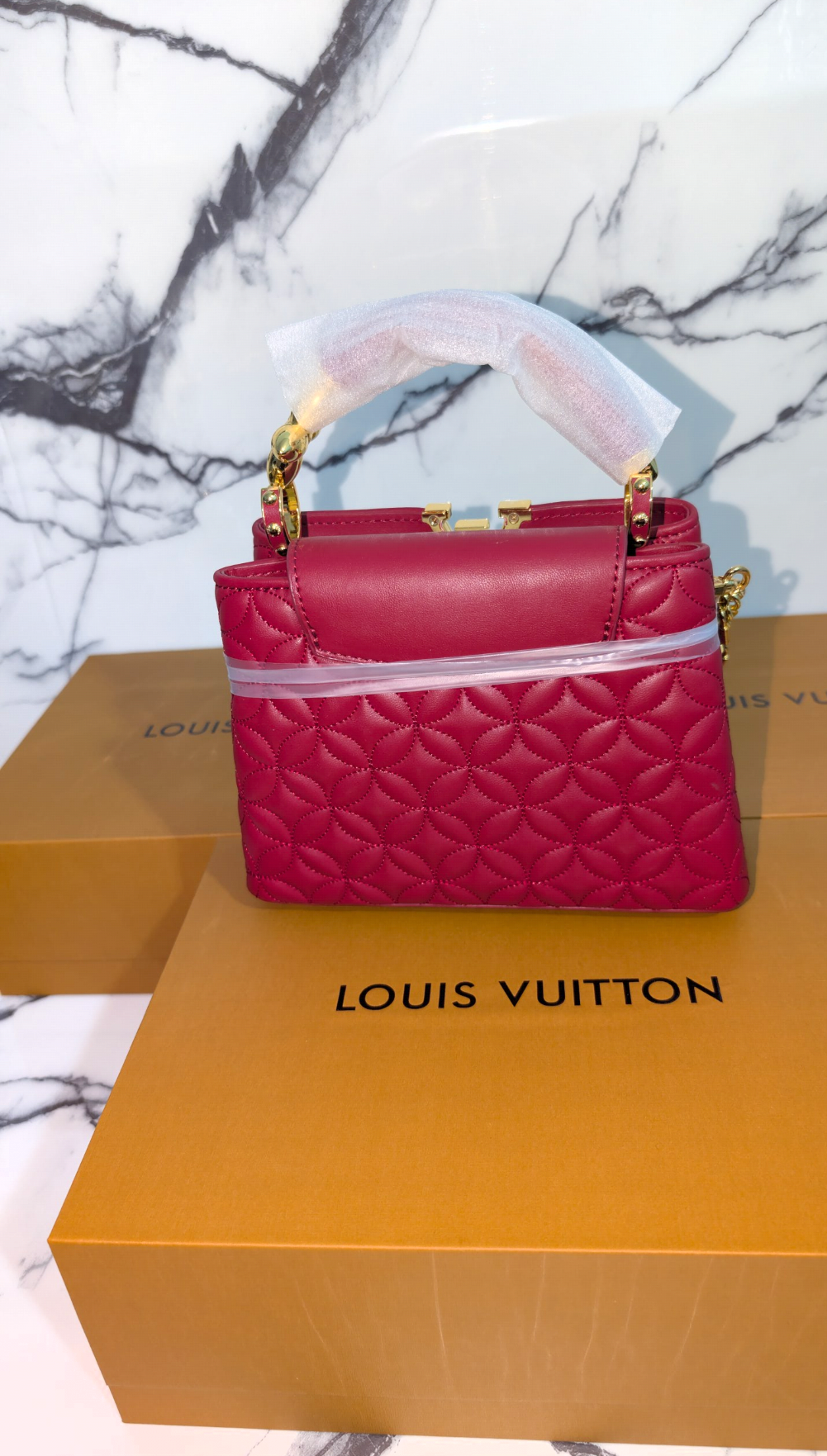 Louis Vuitton Capucine