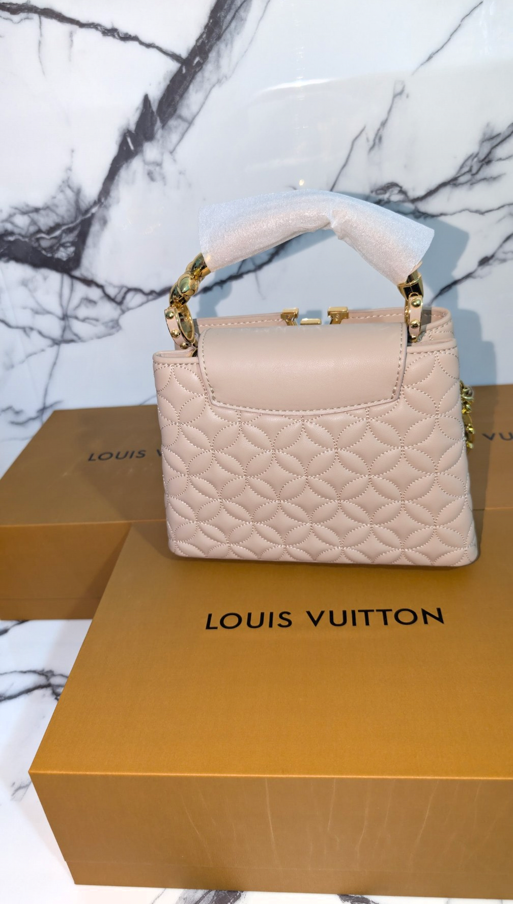 Louis Vuitton Capucine