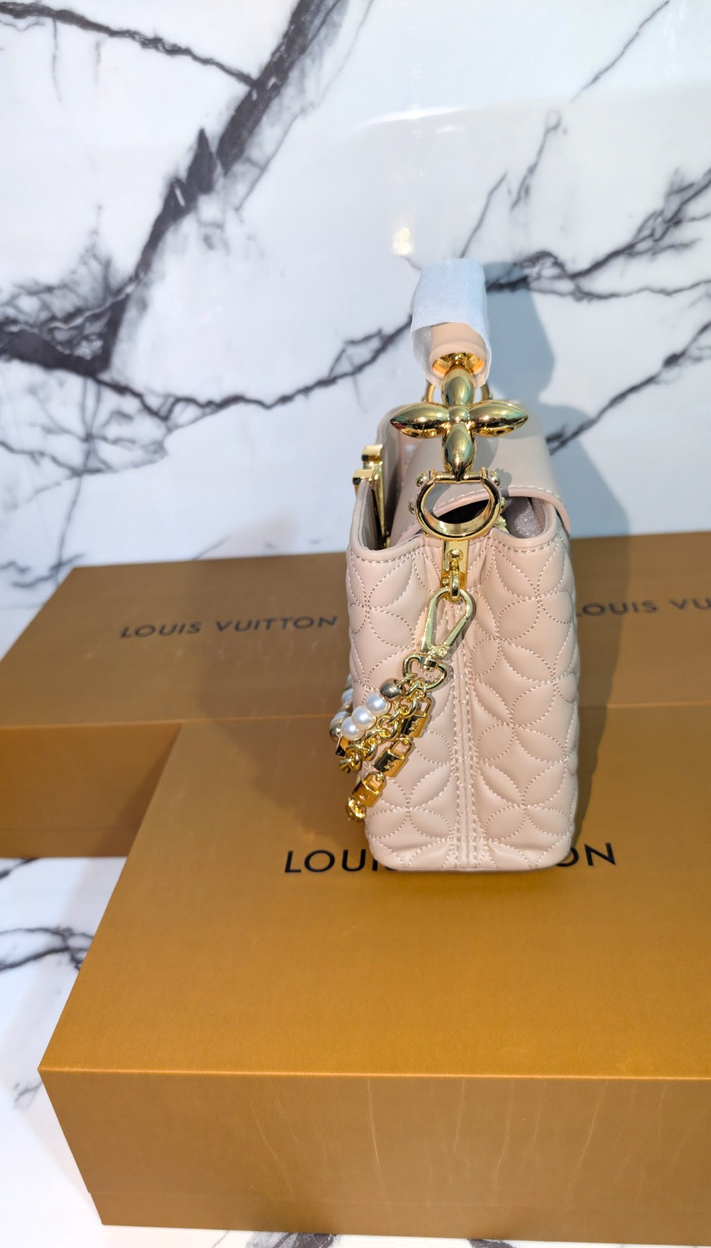 Louis Vuitton Capucine