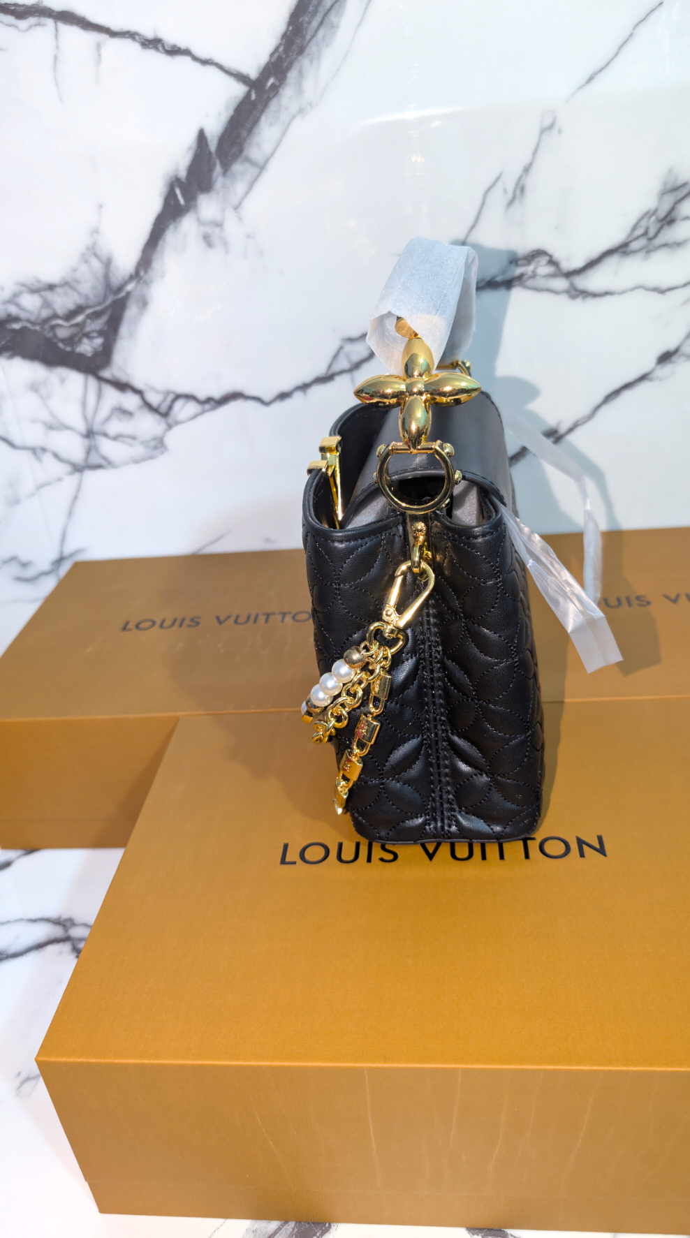 Louis Vuitton Capucine